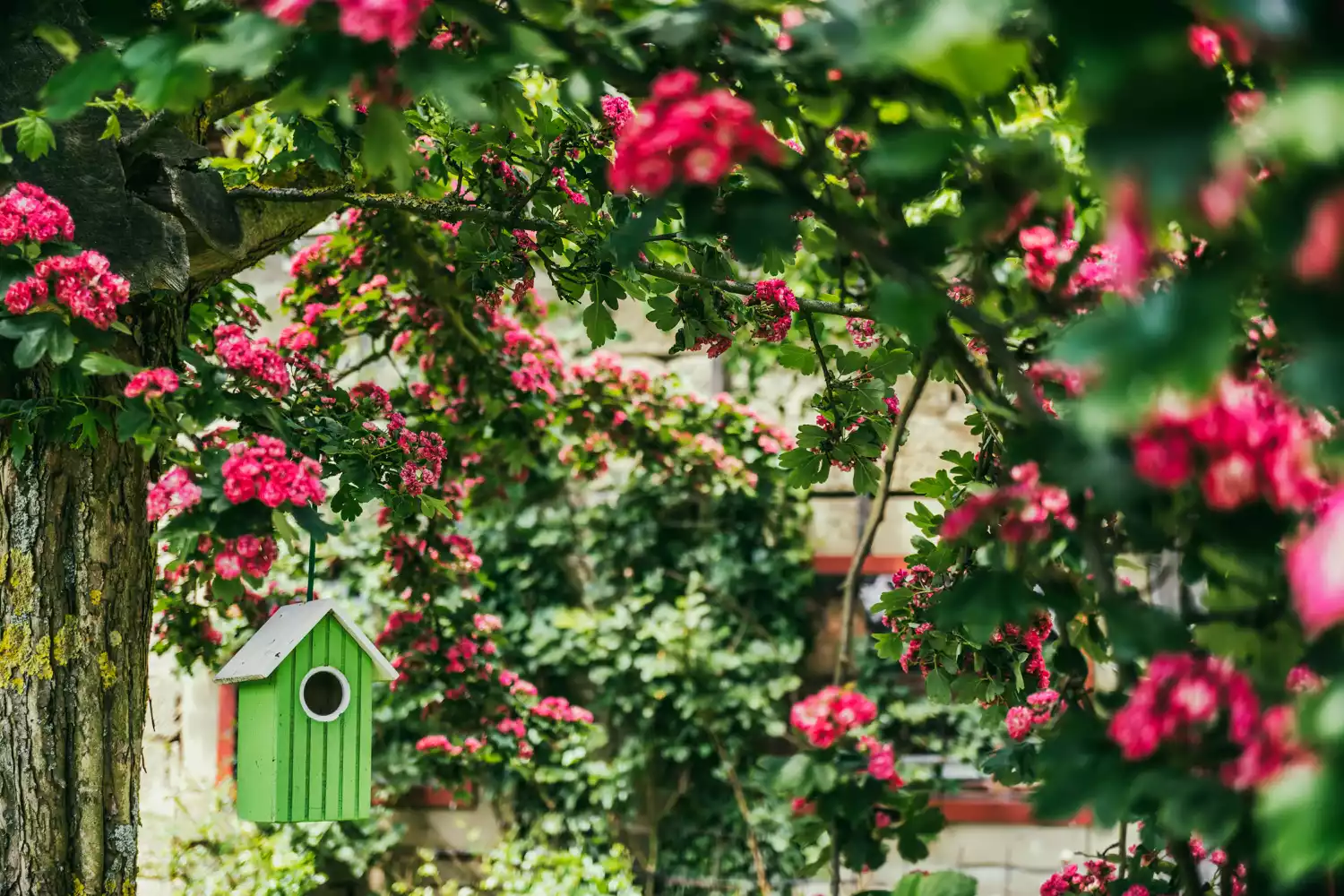 Birdhouse in garden