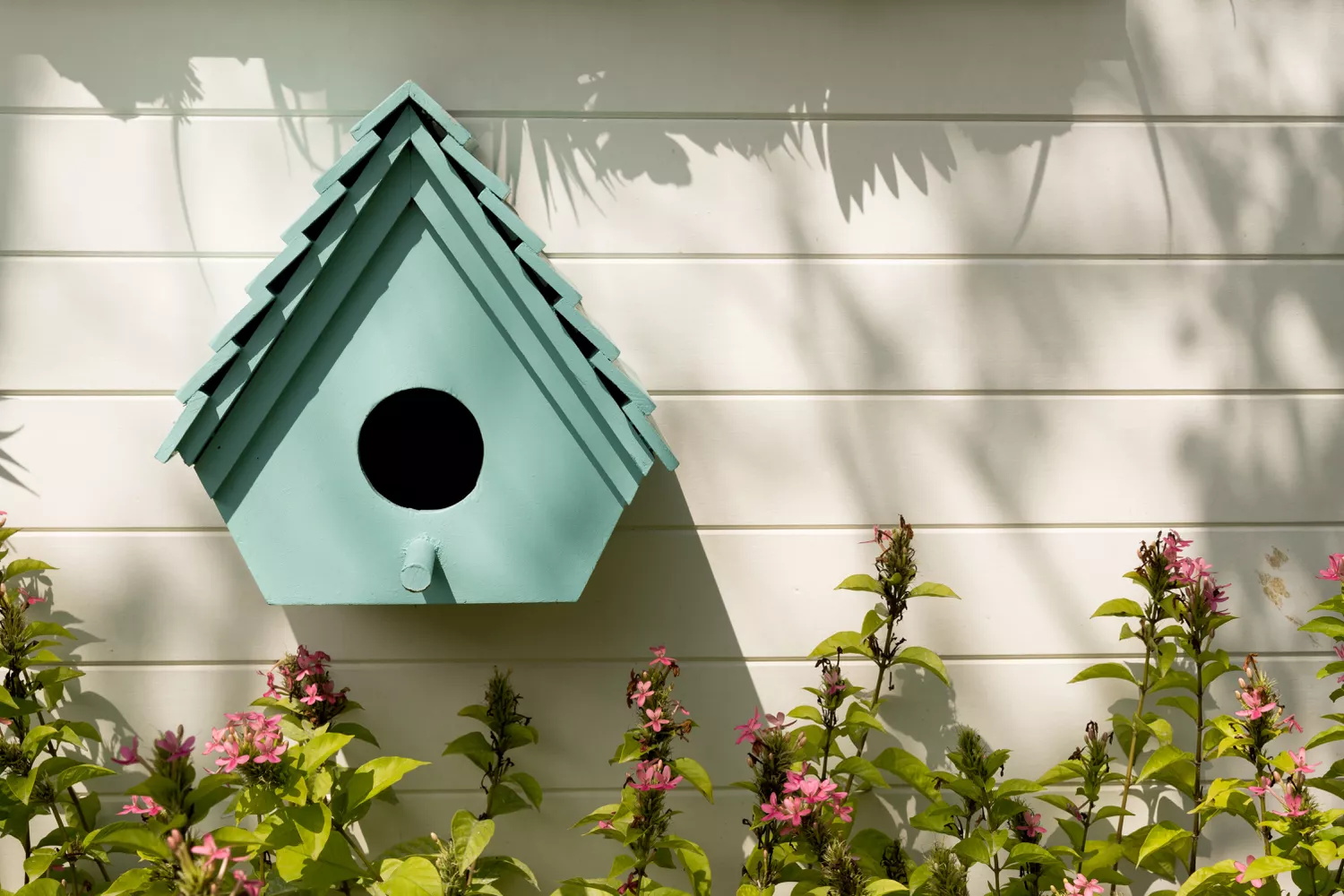 Bird house in garden