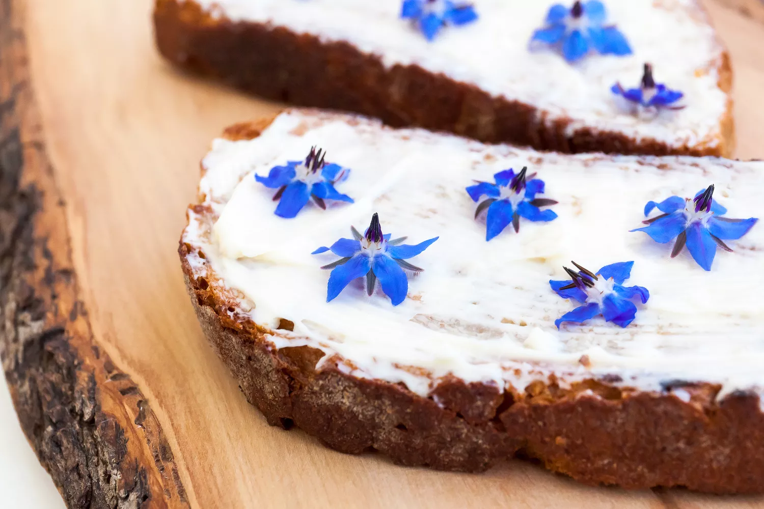 Borage edible flowers on toast