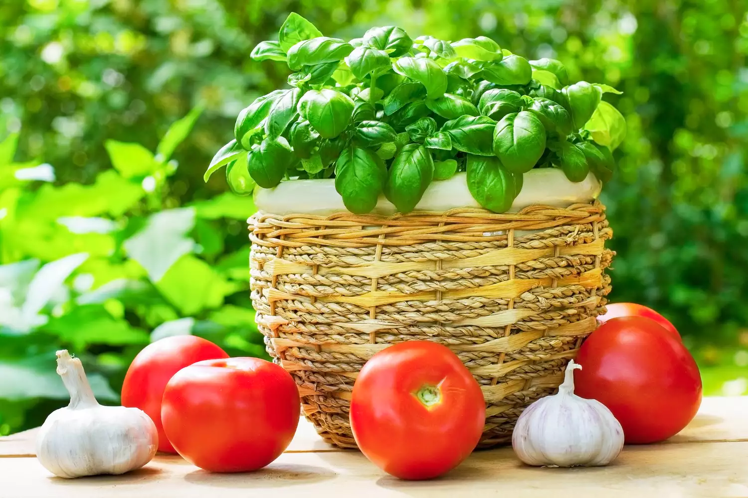 How to Plant and Grow a Pizza Garden for Your Freshest Homemade Pie Yet