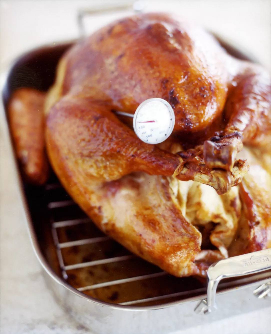 roast turkey thermometer