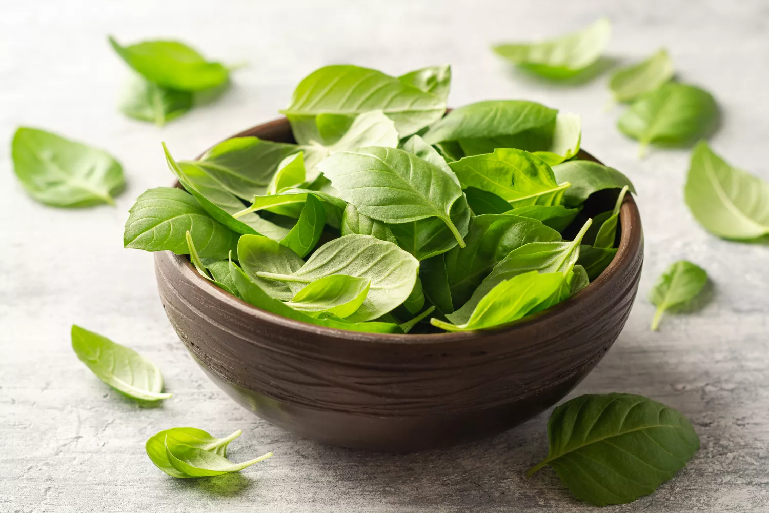 How to Store Basil—and Prevent It From Wilting